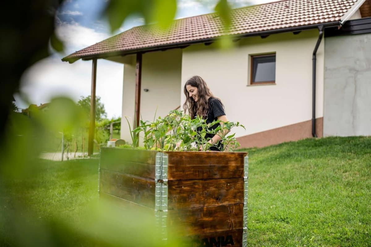 Holiday House Zlacka Gorca Pristava pri Mestinju 외부 사진